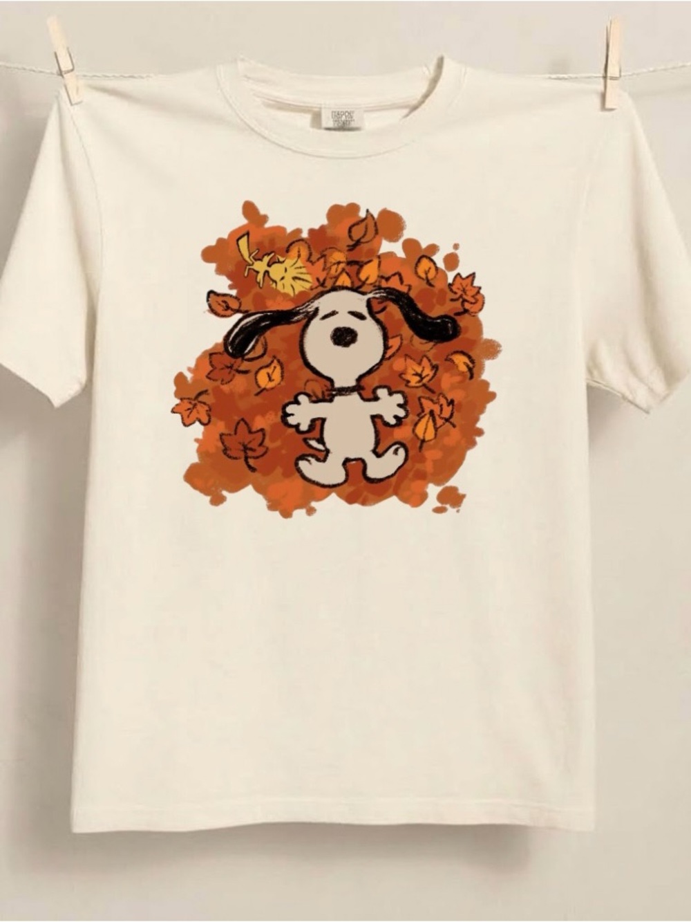 Snoopy Autumn Vibe Comfort Colors Tee Cozy Fall Season Outfit Gift For Her - Picture 3 of 5